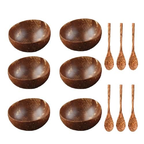 Bols en noix de coco & Cuillères ~ COCO 6 bols cuillères