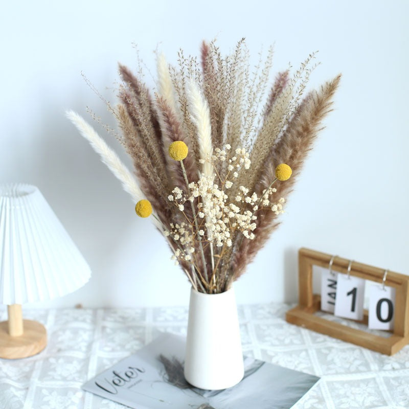 bouquet de pampas