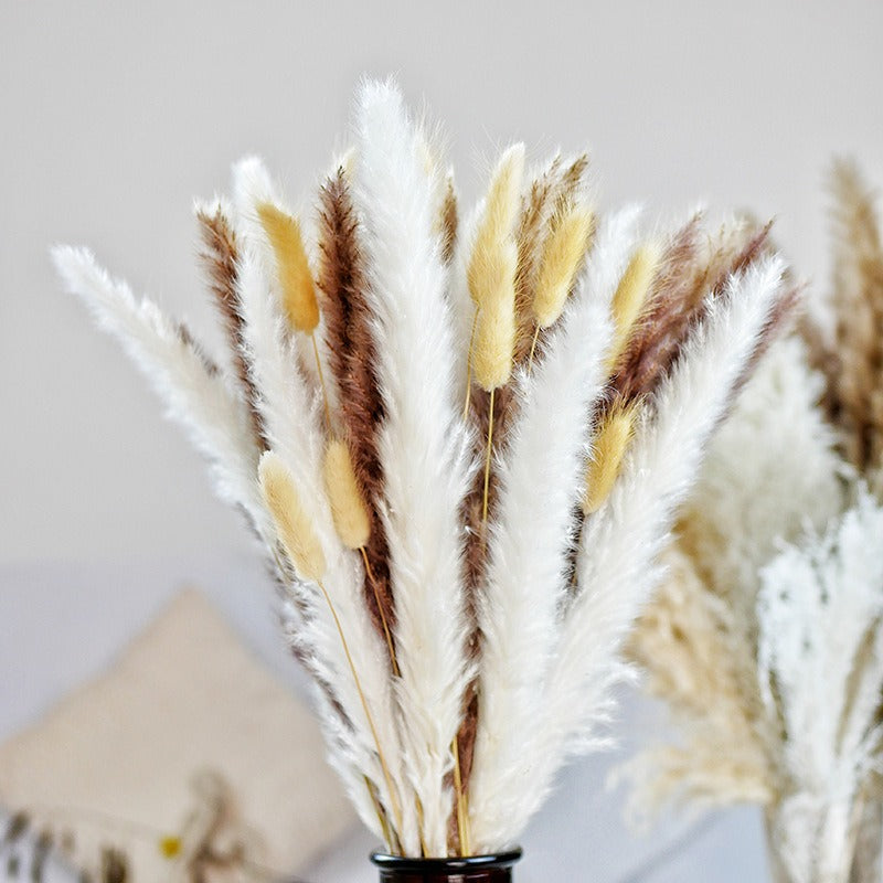 bouquet de pampas séchées