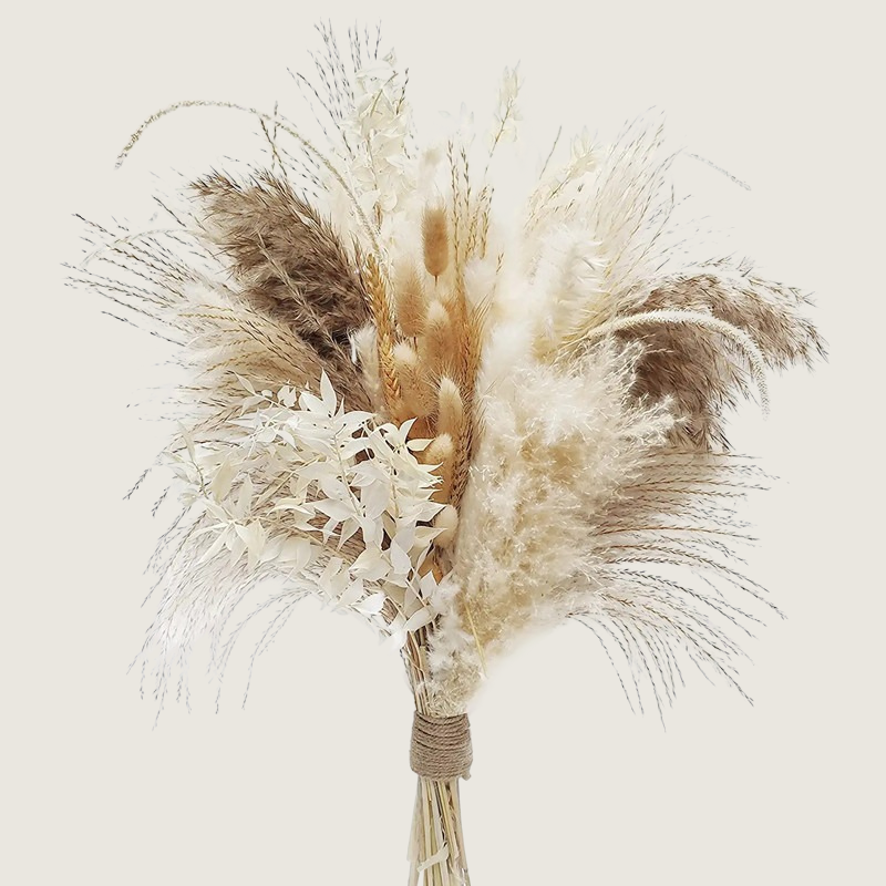 bouquet de fleurs séchées