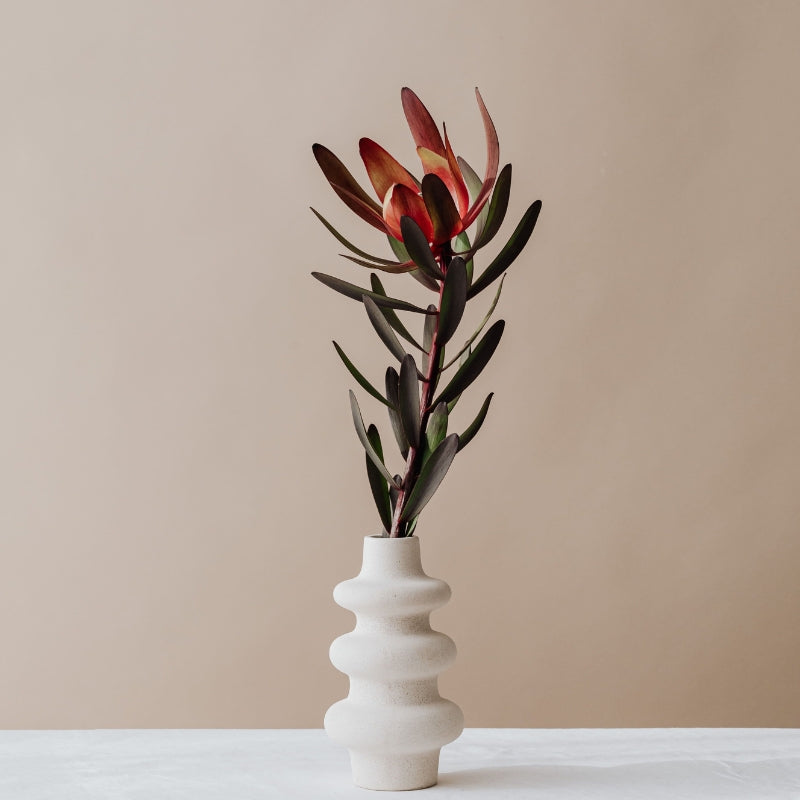 Décoration vase : un objet incontournable pour votre déco