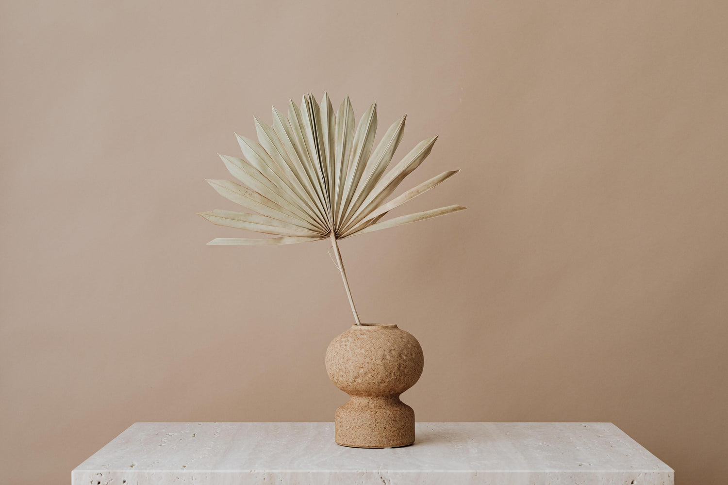 Vase beige contenant une feuille de palmier sechee 