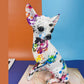 Haarlose Chihuahua-Statuette ~ Fleck