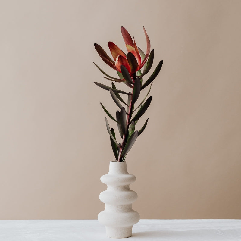 Vase à fleurs en verre vert pour décoration de table, moderne, design unique vert Vase à fleurs en verre vert pour décoration de table, moderne, design unique vert